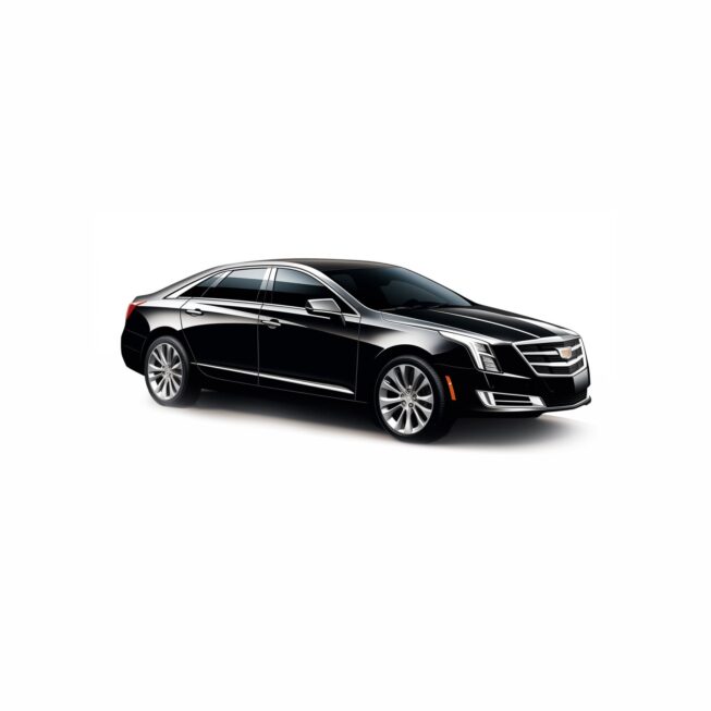 1-3 PASSENGER LUXURY SEDAN (WITH UP TO 2 CHECK IN BAGS)
