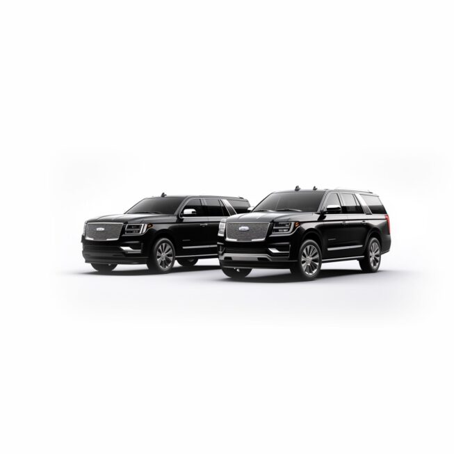 6 PASSENGER SUV (WITH UP TO 6 CHECK IN BAGS)